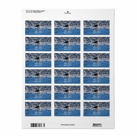Bald Eagle op het etiket Yellowstone Address Label (Full Sheet)