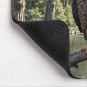 Bald Eagle op River Tree Branch Muismat (Hoek)