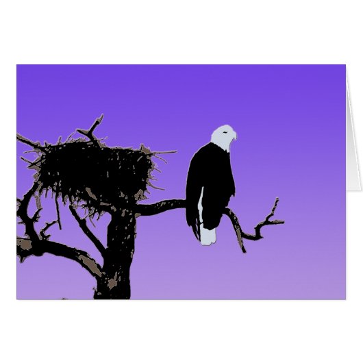 Bald Eagle op zonsondergang - Originele Wilde Kuns (Voorkant Horizontaal)