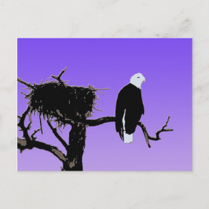Bald Eagle op zonsondergang - Originele Wilde Kuns Briefkaart