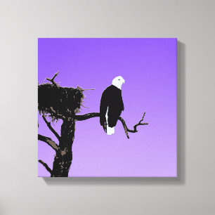 Bald Eagle op zonsondergang - Originele Wilde Kuns Canvas Afdruk
