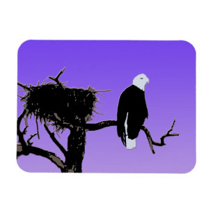 Bald Eagle op zonsondergang - Originele Wilde Kuns Magneet