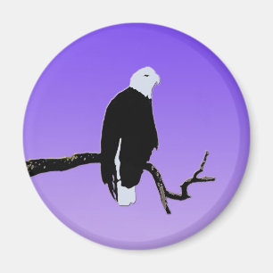 Bald Eagle op zonsondergang - Originele Wilde Kuns Magneet