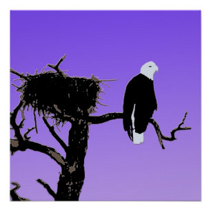 Bald Eagle op zonsondergang - Originele Wilde Kuns Perfect Poster