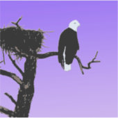 Bald Eagle op zonsondergang - Originele Wilde Kuns Sticker (Voorkant)