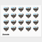 Bald Eagle Open Wings Stickers (Vel)