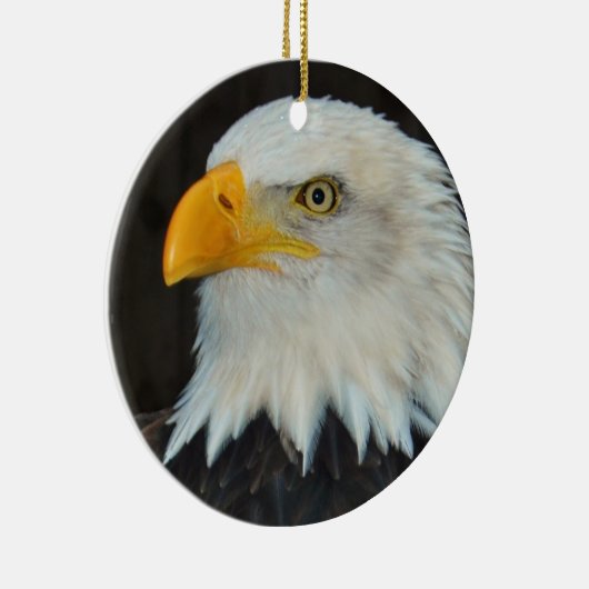Bald Eagle Ornament (Rechts)