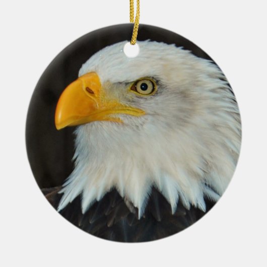 Bald Eagle Ornament (Voorkant)