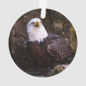 Bald Eagle Ornament (achterkant)