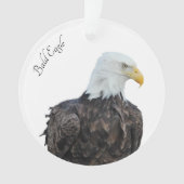 Bald Eagle Ornament (voorkant)