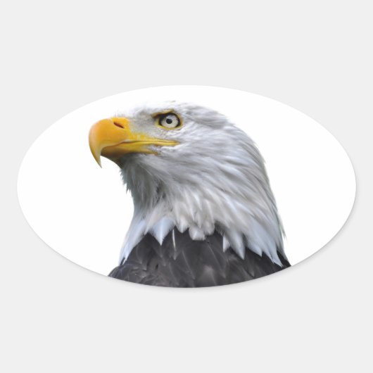 Bald Eagle Ovale Sticker (Voorkant)
