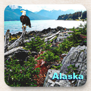 Bald Eagle over de kust van Alaska Bier Onderzetter