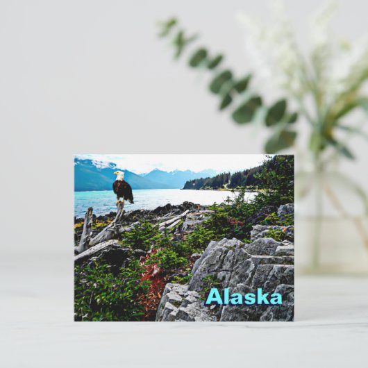 Bald Eagle over de kust van Alaska Briefkaart (Staand voorkant)