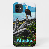 Bald Eagle over de kust van Alaska