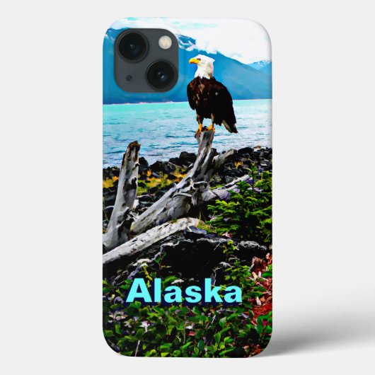 Bald Eagle over de kust van Alaska Case-Mate iPhone Case (Achterkant)