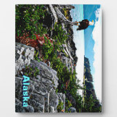 Bald Eagle over de kust van Alaska Fotoplaat (Voorkant)