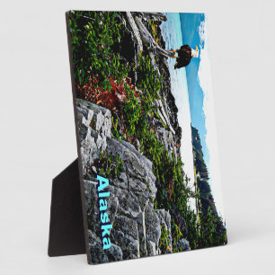 Bald Eagle over de kust van Alaska Fotoplaat