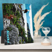 Bald Eagle over de kust van Alaska Fotoplaat (Zijkant)