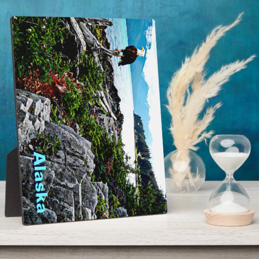 Bald Eagle over de kust van Alaska Fotoplaat (Zijkant)