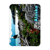 Bald Eagle over de kust van Alaska Magneet (Verticaal)