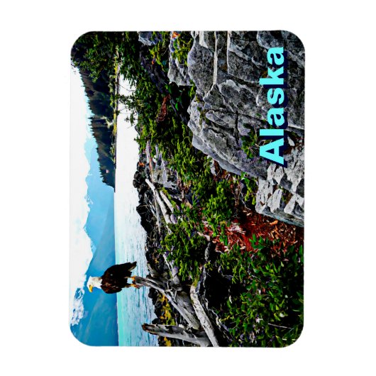 Bald Eagle over de kust van Alaska Magneet (Verticaal)