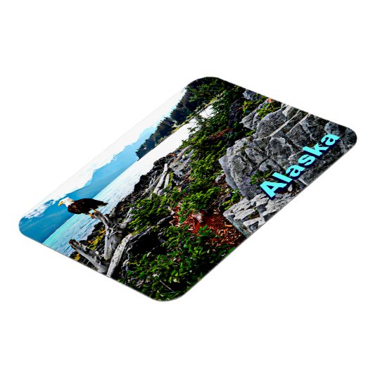 Bald Eagle over de kust van Alaska Magneet (Linkerzijde)