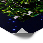 Bald Eagle over de kust van Alaska Poster (Hoek)