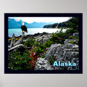 Bald Eagle over de kust van Alaska Poster (Voorkant)
