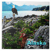 Bald Eagle over de kust van Alaska Tegeltje (Voorkant)