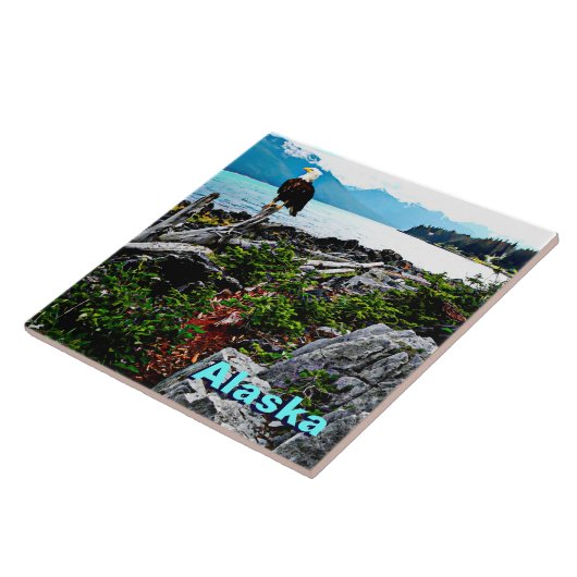 Bald Eagle over de kust van Alaska Tegeltje (Zijkant)