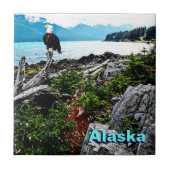 Bald Eagle over de kust van Alaska Tegeltje (Voorkant)