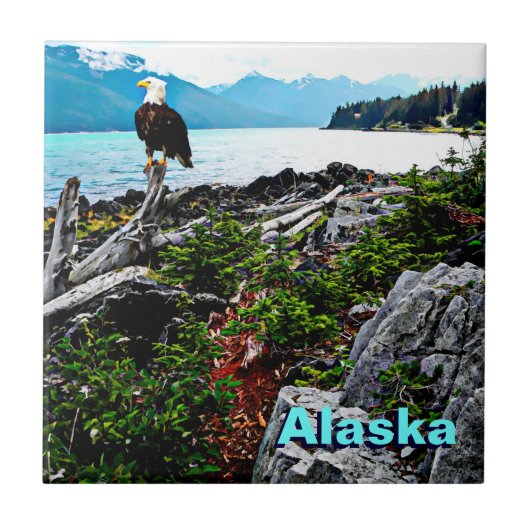 Bald Eagle over de kust van Alaska Tegeltje (Voorkant)