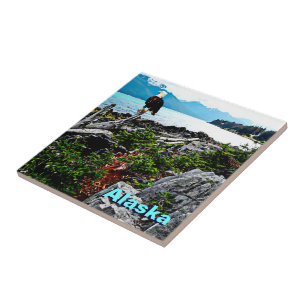 Bald Eagle over de kust van Alaska Tegeltje