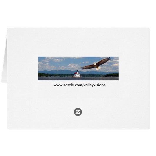 Bald Eagle over gras en sneeuw (Achterkant Horizontaal)