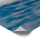 Bald Eagle Over Snow Poster (Hoek)