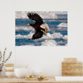 Bald Eagle Over Snow Poster (Keuken)