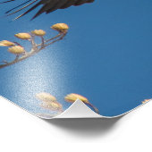 Bald Eagle Overhead Foto Afdruk (Hoek)