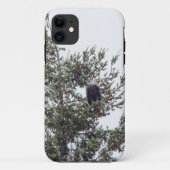 Bald Eagle P2825 Case-Mate iPhone Case (Achterkant)