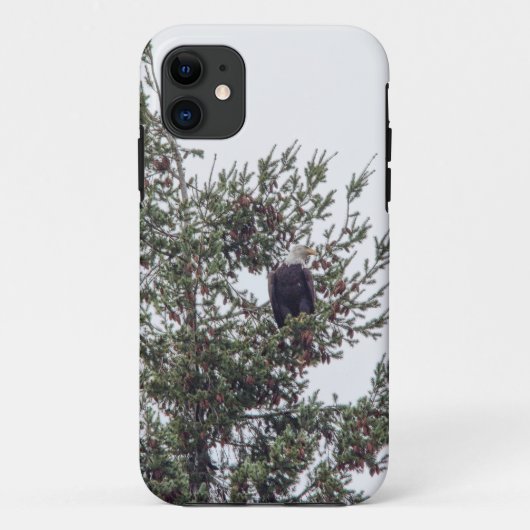 Bald Eagle P2825 Case-Mate iPhone Case (Achterkant)