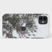 Bald Eagle P2825 Case-Mate iPhone Case (Achterkant (horizontaal))