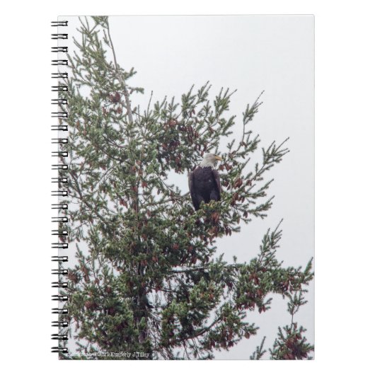 Bald Eagle P2825 Notitieboek (Voorkant)