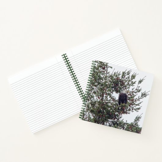 Bald Eagle P2825 Notitieboek (Binnen)