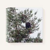 Bald Eagle P2825 Notitieboek (Voorkant)