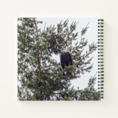 Bald Eagle P2825 Notitieboek (Achterkant)