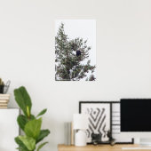 Bald Eagle P2825 Poster (Thuiskantoor)