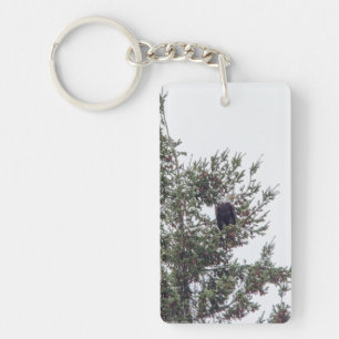 Bald Eagle P2825 Sleutelhanger