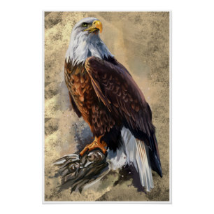 Bald Eagle Painting Perfect Poster