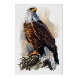 Bald Eagle Painting Perfect Poster