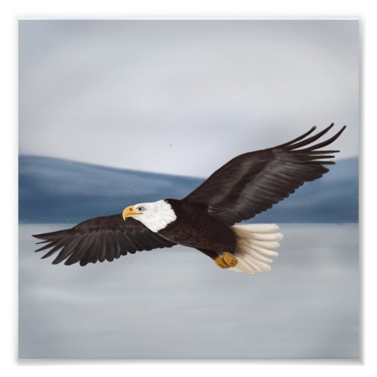 Bald Eagle Painting Photo Print Foto Afdruk (Voorkant)