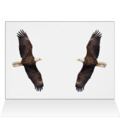 Bald Eagle Pair (Binnen Horizontaal (Boven))